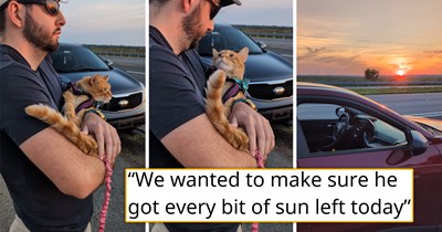 'We took our terminally ill cat to see a final sunset': After being told that their beautiful feline only has a few days left, his owners decide to make every moment count and take him to do his favorite thing - sunbathe one last time
