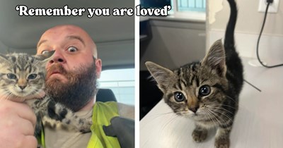 Twice divorced blue collar man finds gorgeous kitten in his semitruck, he feels they were destined for each other and she can teach him to heal and love again