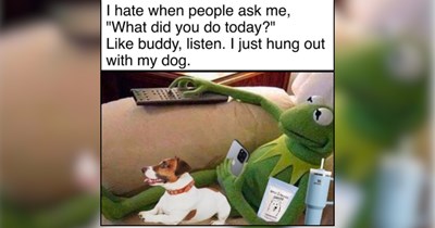 35 Weekend Dog Memes for a Pawfectly Relaxing Scroll