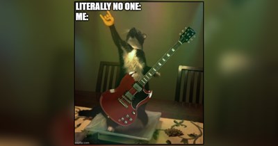 26 Feline Rock Stars Who Turned the Song of Their People Into Rock ’n’ Roll