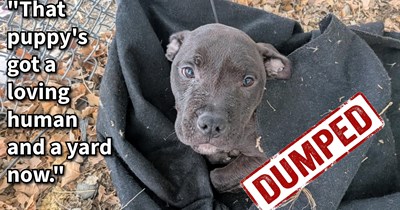 Starving tiny puppy covered in filth saved by traveller and his dog, but with no way to keep the pup they needed a miracle to find it a home, lucky one came their way: ‘Then about 20 minutes later... He returned—six hours early—taking the puppy.’