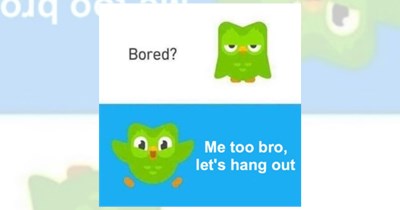‘Don’t lose your streak!’: 20 Duolingo memes for learning languages and escaping notifications