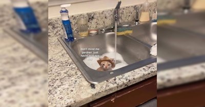 'Acting like an unhinged little creature': Random memes to let out your wild side