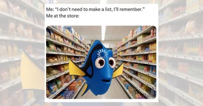 A bag full of grocery memes for new adults planning their weekly menus