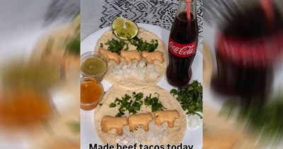 A Mouthful of Hilarious Cooking Memes for Amateur Chefs (August 12, 2026)