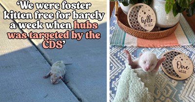 Californian NICU nurse rescues 1-week-old kitten 'Bubbles' from 110 degree summer heat, then wakes every 2 hours between feeding her twin babies to save Bubbles’ life