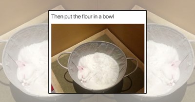21 Cooking Fails for Optimistic Home Chefs Learning to Trust the Process (August 8th, 2026)