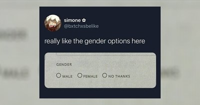 'Shout out to the blue flavor, gotta be one of my favorite genders': 23 Memes speeding through the universe