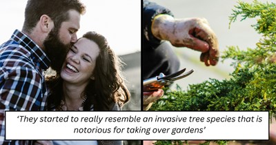 Husband lovingly raises ‘berry plants’ for months, wife insists they’re actually invasive trees taking over their garden: ‘He is completely confident we will have berries’