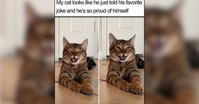 28 Happy Smiling Furballs of Fun For Sunday Fawmily Foolery 