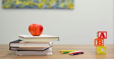 Brother and sister argue at a family reunion due to their opposite opinions on whether to homeschool or not their children and which one is better: 'I just simply told her that home educating doesn't mean her kids are happier than everybody else's'. 