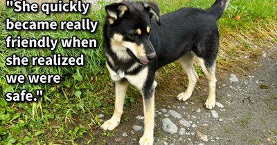 Stray dog roaming rural village chooses young girl to be his hooman, but with it being unclear who owns the dog the girl’s family are cautious to take a dog that might have a home, says: ‘This isn’t my community and I don’t know how it works here.’