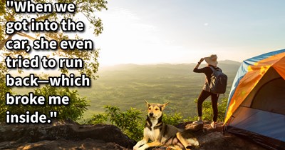 Stray puppy adopted by man who she followed for 5 days of stormy mountain hiking, but when pup shows signs of wanting to return to the hills, her pawrent begins to question her adoption: ‘Did I mess up big by taking her in? Or did I actually help her?’