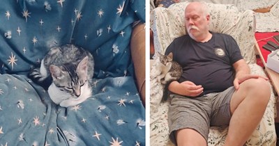 'Unless a cat comes and 'adopts us,' I don’t see us getting a cat': Repair man has door wide open for kitten to wander inside and plop on guy's lap right after his wife hoped for a kitty, showing CDS responds to those who ask
