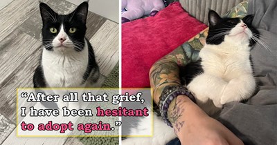 After losing 2 cats, then opening up, adopting another and losing her soon after too, person is afraid to adopt again, but the internet encourages them, and they end up foster-failing the sweetest kitten 