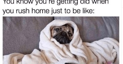 27 Heartwarming Animal Memes to Warm Your Soul When it’s Frozen from AC (August 24 , 2026)  