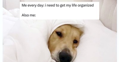 30 Endearing Animal Memes to Calm the Turbulence of this Chaotic Tuesday