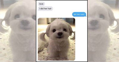21 Warm and Fuzzy Doggo Memes to Wrap You Up in a Cozy Blanket of Canine Cuteness
