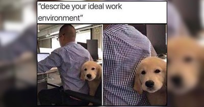 20 Good Morning Barks of Memes for Doggo Loving Owners Running on Kibble and Coffee (August 23, 2026)