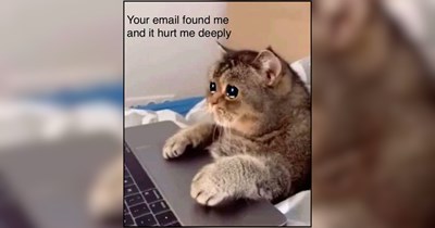 23 Precious Purrballs to Start Your Morning With a Smile