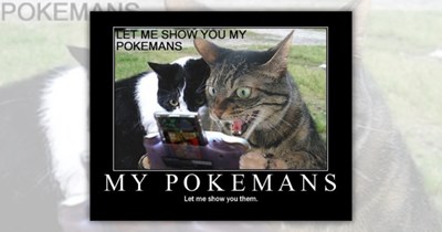 If you recognize these 24 prehistoric cat memes, it's probably time for your daily fiber supplement - LOLcats edition