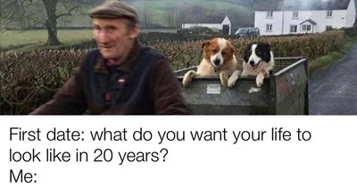 27 Dog Memes Pumped Full of Pawsitivity to Help You Hang in There Until the Weekend