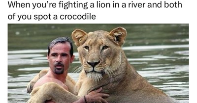 27 Animal Funnies to Fight Your Fursday Frustrations with Fluffy Fur Babies