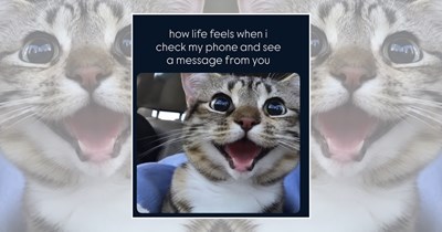 22 Happy Feline Memes for a Pawsome Thrusday Filled with Fluffy Shenanigans and Purrfectly Good Smiles