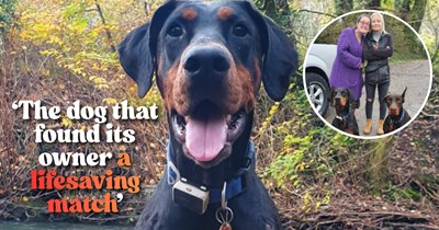 'Katie was a 1 in 22 million tissue match': Pawrent with only 5 years left to live gets saved by her Doberman who wouldn't leave a stranger alone at the beach, who just happened to be her perfect donor