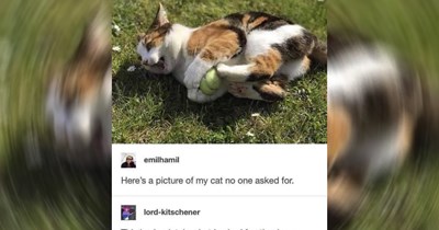 The Best Heartwarmingly Wholesome Memes and Posts of the Week (August 20, 2026)