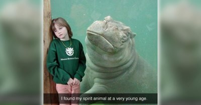 A Cheery Collection of 34 Cute Animal Memes to Carry You Home After Work
