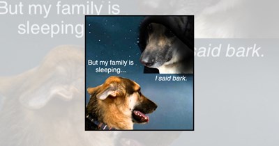 'Saturdog Starts Early': 21 Saturday Dog Memes to Start the Weekend With Barks, Walkies, and No Sleep