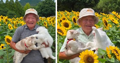 Japanese grandfather goes viral for his colorful cat photoshoots that always end in chaos 