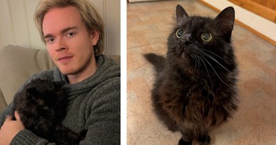 After 22 precious years with beloved Norwegian Forest cat Sofus, owner reminds us to take advantage of our fur babies and give to them each and every day