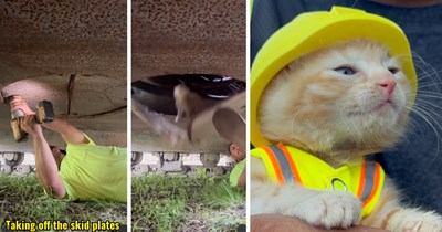 'Dropped out of there like a snack in a vending machine': Construction crew hears kitten's cries for help from inside heavy Komatsu machinery, they save him, give him his own hard hat, and make him part of the team
