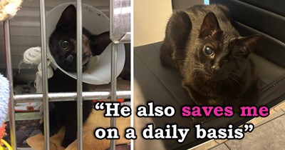 'Told myself if the little guy survived surgery, I would take him home': Black kitten brought into vet's office badly injured, vet tech falls in love with, prays for her to stay strong, and takes her home 