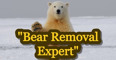 20+ Jobs that sound fake but actually pay really well for those considering an out-of-left-field career change: 'Bear removal expert'