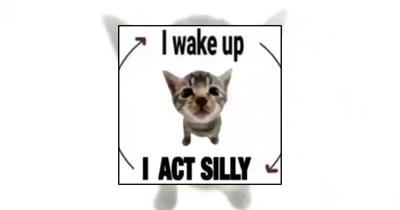 Your Weekly Delivery of 21 Soft and Silly Kitten Memes for a Midweek Mood Boost (Aug 26, 2026)
