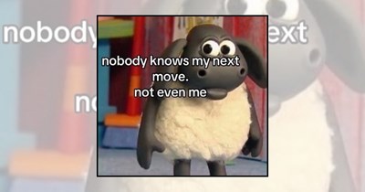 24 Chaotically Relatable Memes for People Making Life Up as They Go
