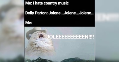 22 Country Cats Meowing to "Jolene" to Honor the Purrfect Dolly Parton