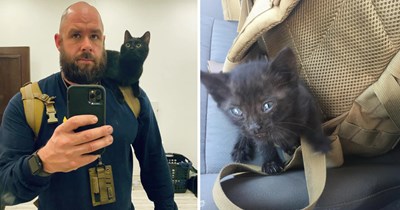 Found inside a wall in the Middle East, black kitten saved by military contractor who takes him home 7,000 miles away