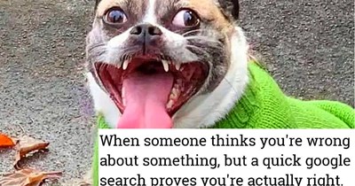 28 Hilarious Animal Memes to Brighten your Day When the Work Week has Made you Barking Mad