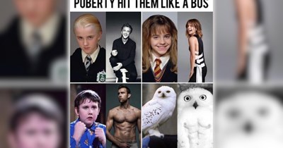 27 Harry Potter Memes for Wizards and Witches Waiting to Board the Hogwarts Express on September 1st
