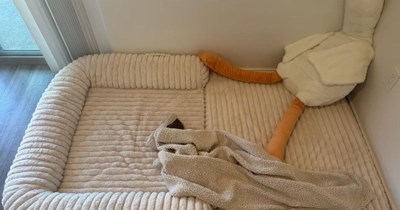 Brother lets divorced sister stay at his studio apartment for 3 weeks, asks her to sleep on a dog bed: '"I just left a marriage and you're putting me in a dog bed like a stray you decided to keep.'
