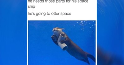 37 Dad Joke Memes for Funny Father Figures Getting Punny With it
