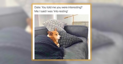 23 Wholesome Woofer Memes to Survive Monday With Dog Vibes