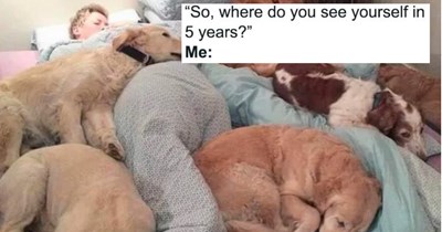 28 Heartwarming Animal Memes to Warm Your Soul When it’s Frozen from AC (September 7, 2026)