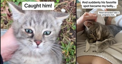 Kitten saved from dumpster instantly becomes foster fail as pawrents fall in love, but what they didn’t expect is the street cat’s heart melting reaction to his hooman mom’s pregnancy and new sister: ‘ Biscus stayed on my belly for the whole 9 months.’