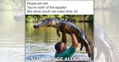 Wholesome and Comforting Country Critters Living the Way Dolly Would Have Wanted