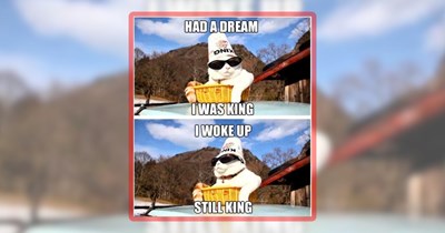 30 Feline Funnies Featuring Our Cat Overlords We Happily Serve
